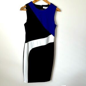 Calvin Klein Size 6 Sheath Dress.